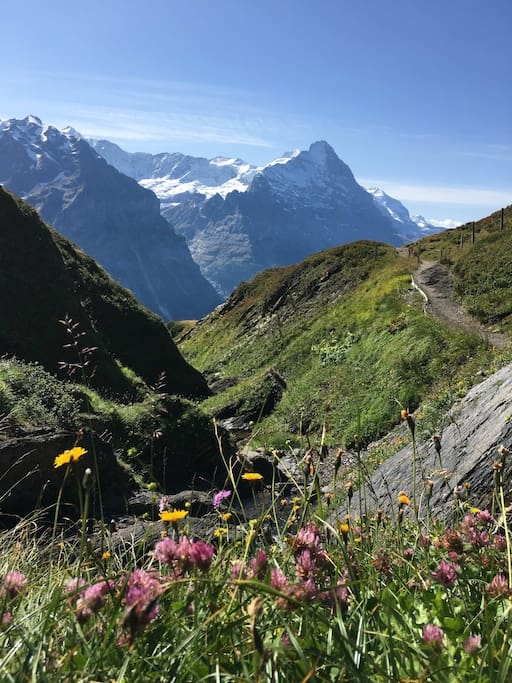 Silberhorn