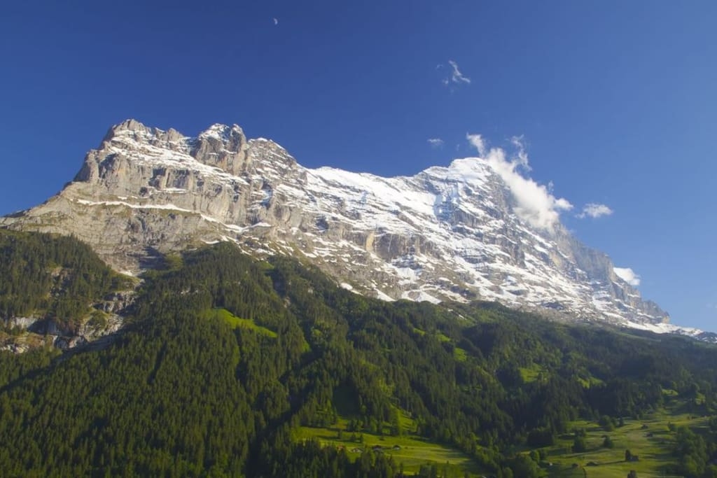 Silberhorn
